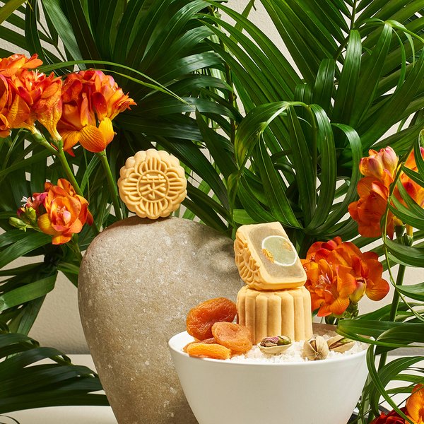 pistachio_apricot_snow-skin_mooncake
